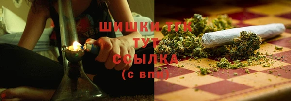 мяу мяу мука Елизово