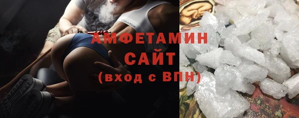 стаф Ельня