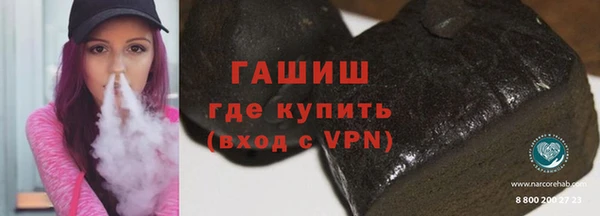 стаф Ельня
