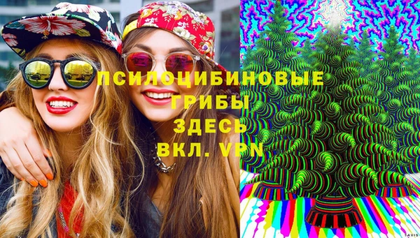 синтетический гашиш Елабуга
