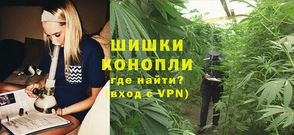 стаф Ельня