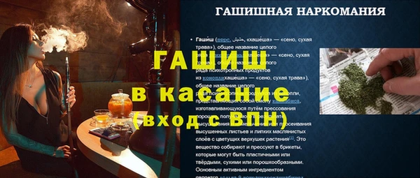 стаф Ельня