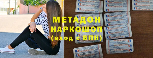 стаф Ельня
