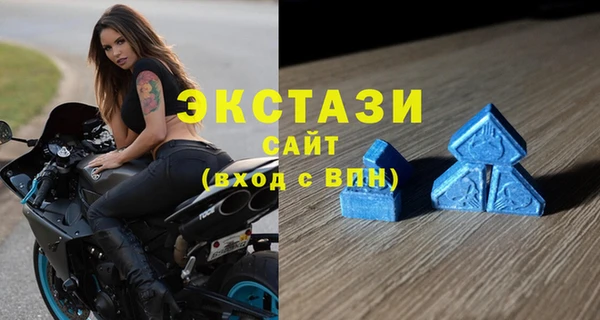 стаф Ельня