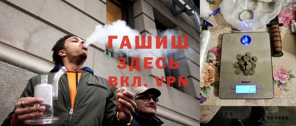 стаф Ельня