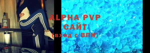 стаф Ельня