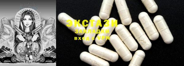 стаф Ельня