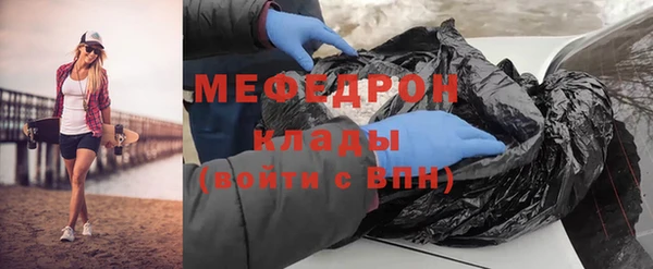 стаф Ельня