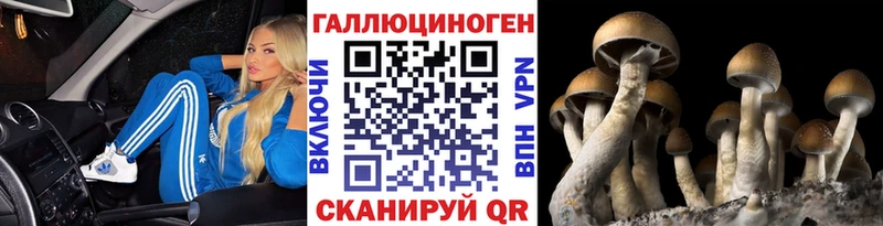 Купить Колпашево Галлюциногенные грибы Magic Shrooms