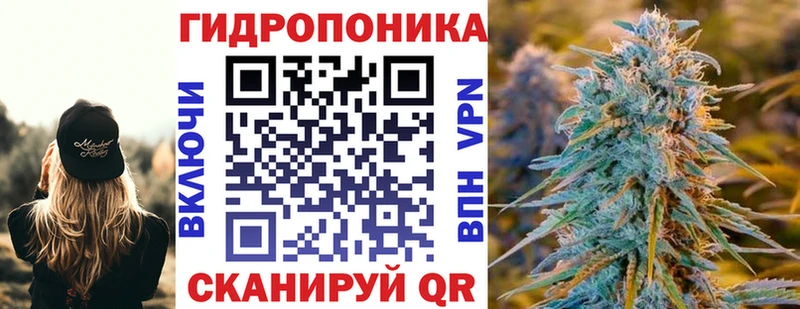 Бошки марихуана тримм  Купить закладки  Колпашево 